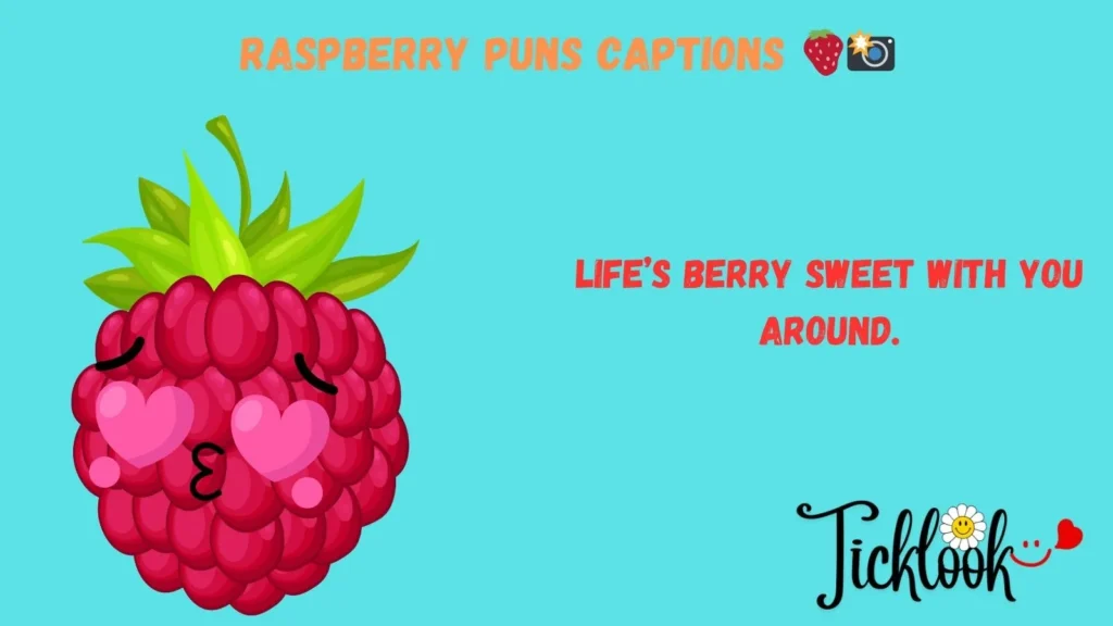 Raspberry Puns Captions