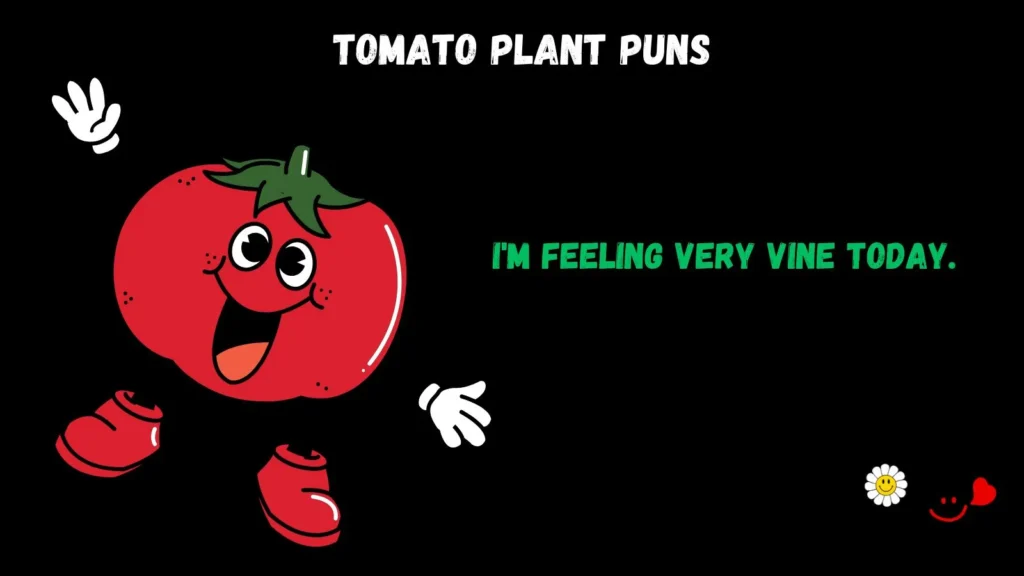 Tomato Plant Puns